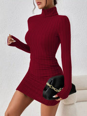 Angled view of the burgundy ribbed turtleneck mini dress, styled with a black clutch.