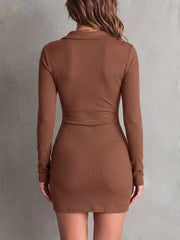 Back view of brown dress with fitted waist and long sleeves.