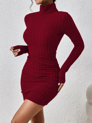 Burgundy long-sleeve ribbed mini dress shown at an angle with a fitted waist and high neck.