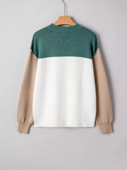 Back view of color-block sweatshirt on hanger